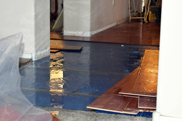 Professional Water Damage Restoration technician working in Collinsville, AL